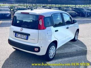 FIAT Panda usata, con Airbag Passeggero