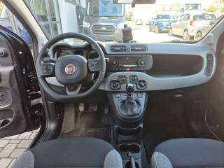 FIAT Panda usata, con Regolazione elettrica sedili