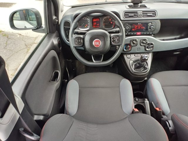 FIAT Panda usata 24
