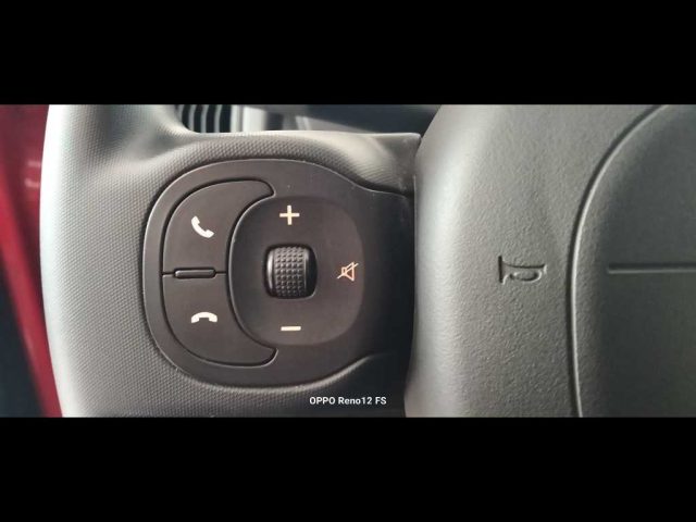 FIAT Panda Cross usata, con Servosterzo