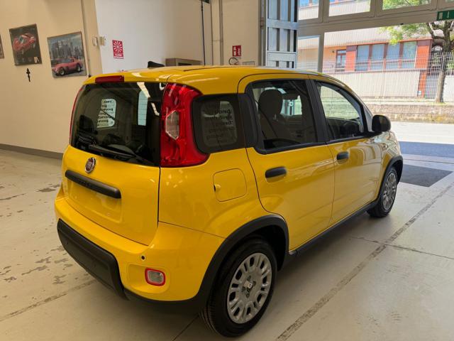 FIAT Pandina usata, con Airbag Passeggero