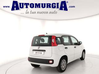 FIAT Panda usata, con Airbag Passeggero