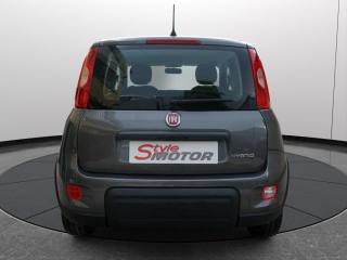 FIAT Panda usata 15