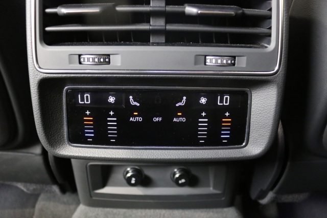 AUDI Q8 usata, con Filtro antiparticolato