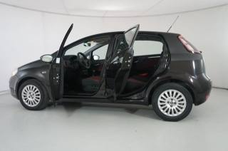 FIAT Punto usata 21