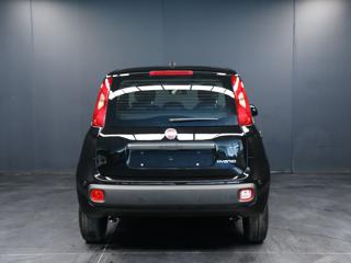 FIAT Pandina usata, con Airbag Passeggero
