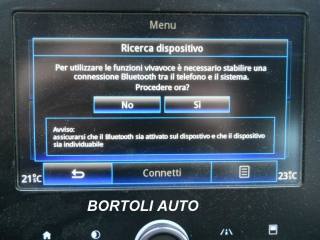 RENAULT Scenic usata, con USB