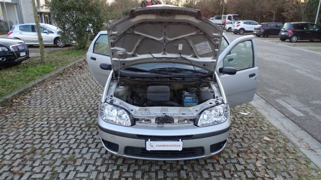 FIAT Punto usata 117