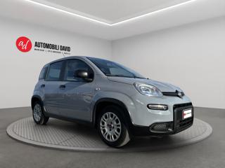 FIAT Panda usata, con Airbag