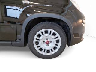 FIAT Panda usata, con ESP