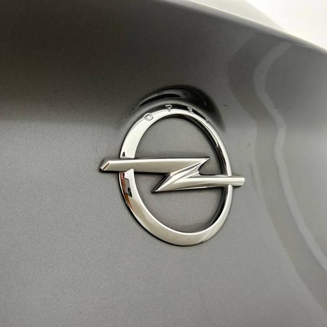 OPEL Grandland X usata, con Fari direzionali