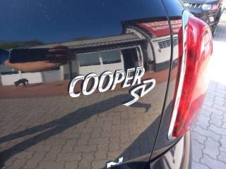 MINI Cooper SD usata, con Fendinebbia