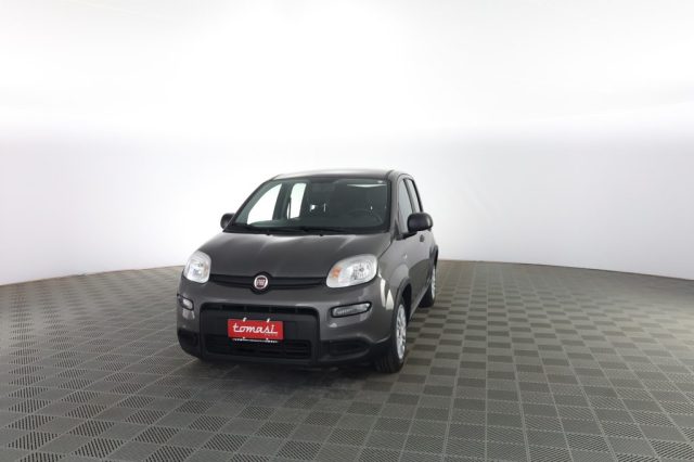 FIAT Panda usata 0