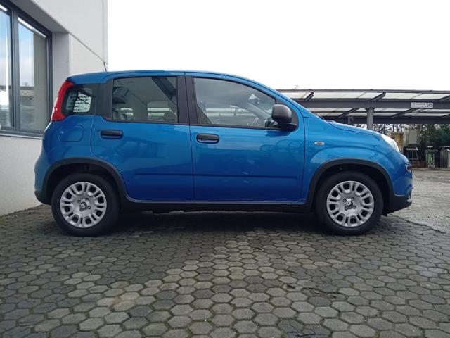FIAT Panda usata, con Alzacristalli elettrici