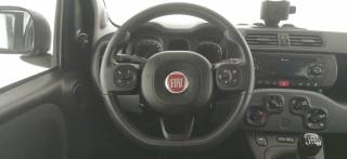 FIAT Panda usata 31