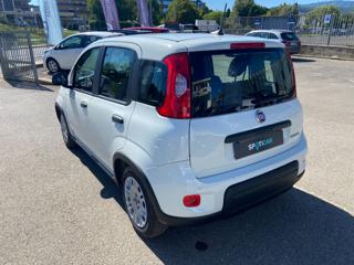 FIAT Panda usata 19