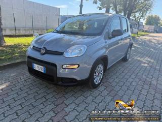 FIAT Panda usata, con Airbag
