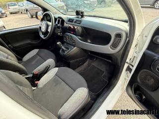 FIAT Panda usata 14