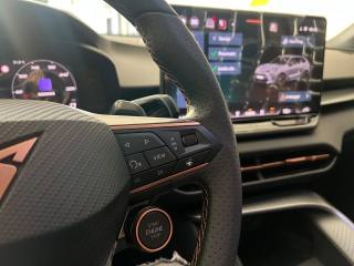 CUPRA Terramar usata, con Fendinebbia
