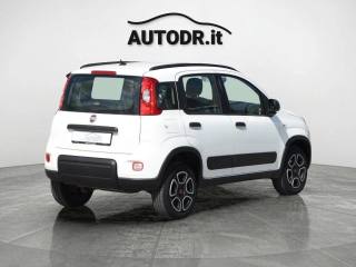 FIAT Panda usata 36