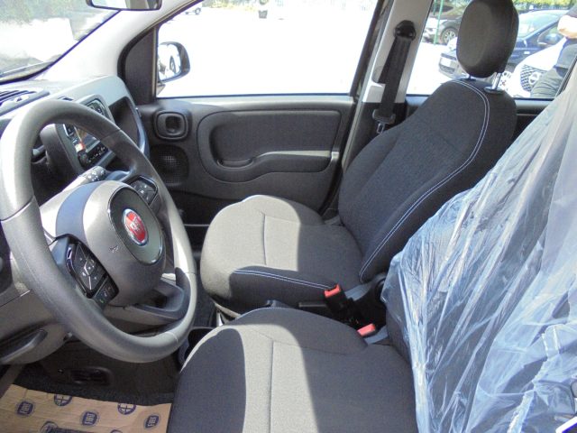 FIAT Panda usata 18
