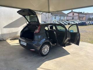 FIAT Punto usata 42