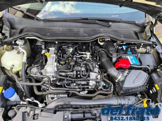FORD Fiesta usata, con Park Distance Control