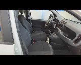 FIAT New Panda usata 16