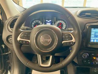 JEEP Renegade usata, con Cerchi in lega