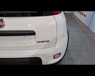 FIAT New Panda usata, con Kit antipanne