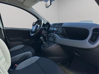 FIAT Panda usata, con Servosterzo