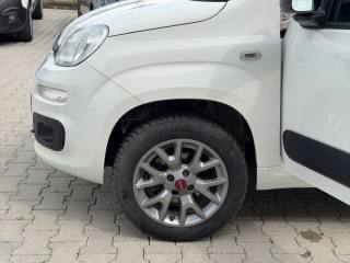 FIAT Panda usata 18