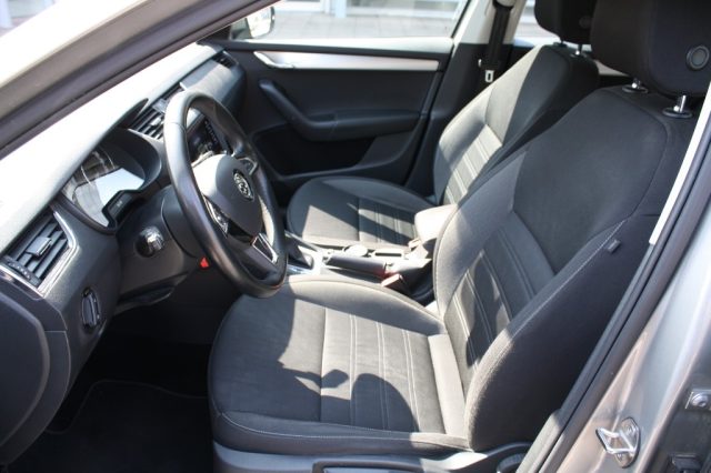 SKODA Octavia usata, con Fendinebbia
