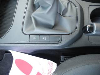 SEAT Ibiza usata, con Marmitta catalitica