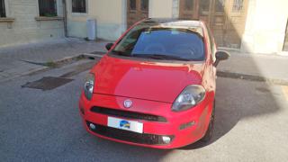 FIAT Punto usata, con Airbag laterali
