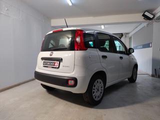 FIAT Panda usata, con Alzacristalli elettrici