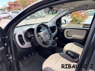 FIAT Panda usata 18