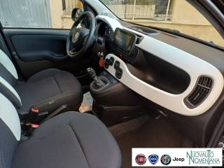 FIAT Panda usata, con Sensore di luce