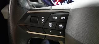 SEAT Arona usata 22