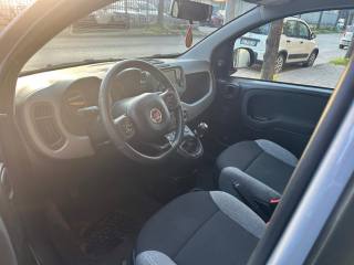 FIAT Panda usata, con Chiusura centralizzata