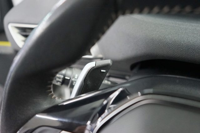 PEUGEOT 3008 usata 53