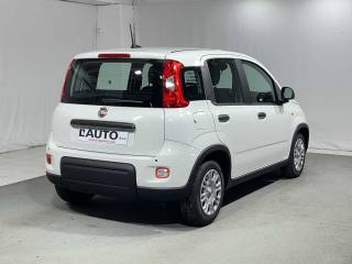 FIAT Panda usata, con Chiusura centralizzata