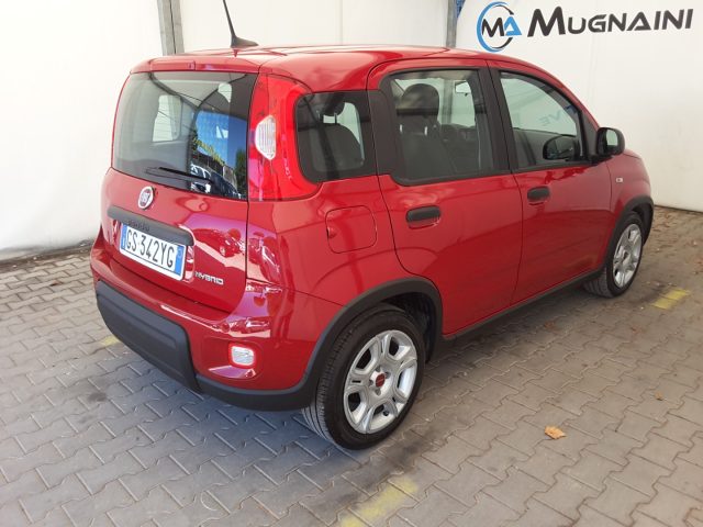 FIAT Panda usata, con USB