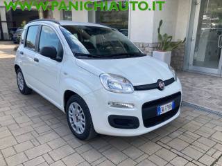 FIAT Panda usata, con Alzacristalli elettrici