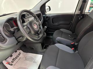 FIAT Panda usata, con Chiusura centralizzata