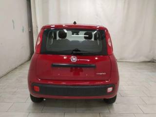 FIAT Panda usata, con Antifurto