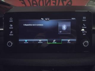 SKODA Fabia usata 22