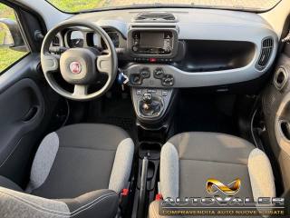 FIAT Panda usata, con Fendinebbia