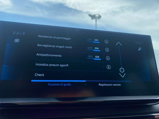 PEUGEOT 3008 usata, con Vetri oscurati