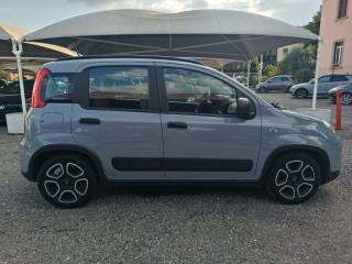 FIAT Panda usata, con ESP